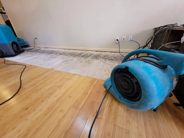 Professional Basement Flood Cleanup technician working in Wantagh, NY